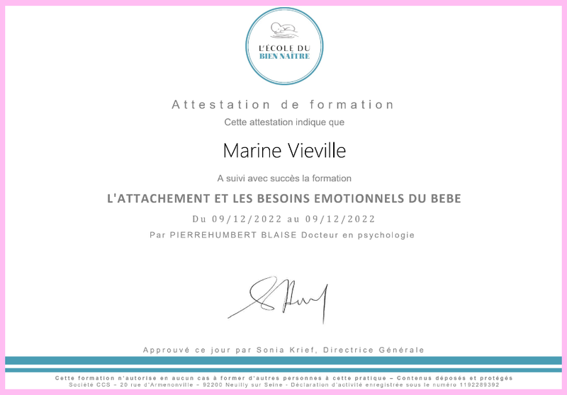 attestation formation attachement et besoins emotionnels du bebe marine vieville