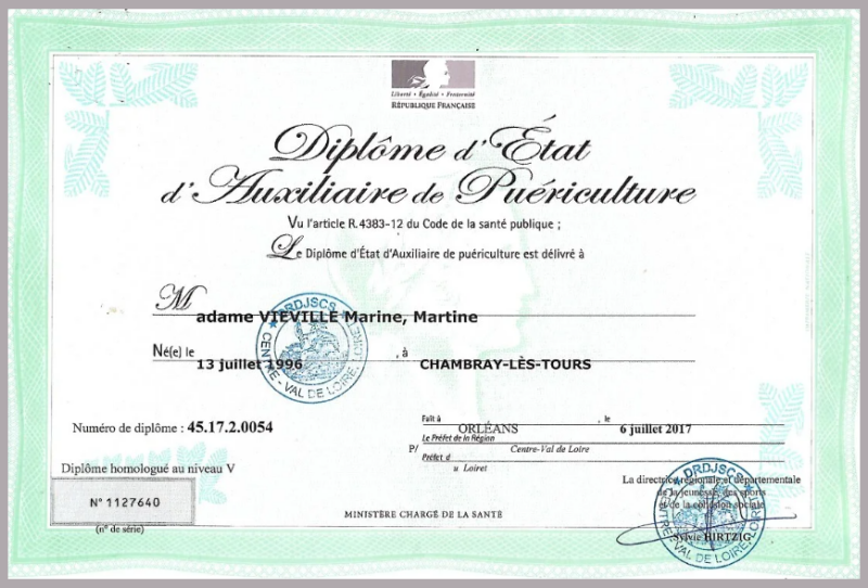 diplome etat auxiliaire de puericulture marine vieville